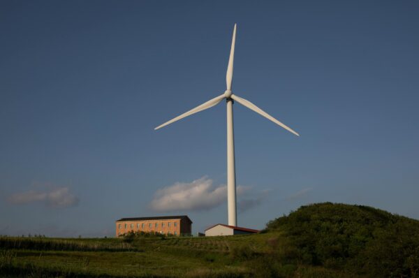 pexels-nui-malama-169330637-32818445